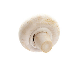 champignon isolated on a white background.