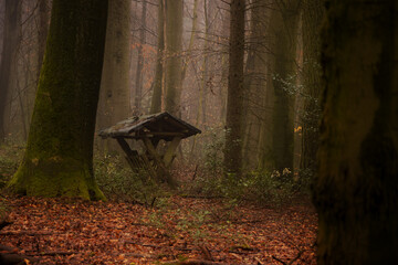 kleine Futterraufe im Wald bei Nebel