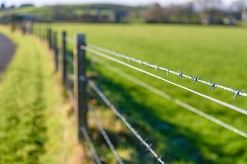 Barbed wire fence at a field