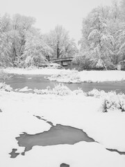 River wetlands with snow cover along the Pegnitz river, Nuremberg, Germany - 427289264