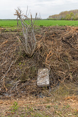Mattress Dumped in Beautiful Nature. Wild discharge at the edge of a field