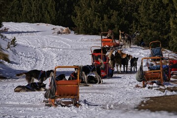 sled in snow