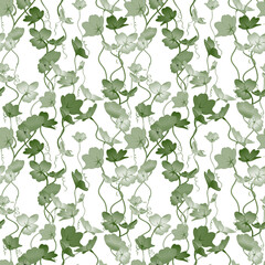 Shamrock pattern, the symbol of Ireland. Green clover on a white background.