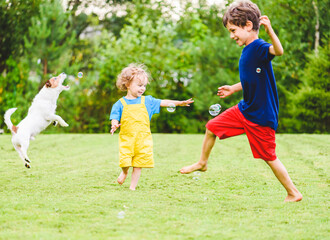 Children and family pet dog playing with funny soap bubbles on hot sunny summer day at backyard lawn