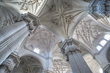 View of the elaborate architecture inside the Santa Maria de la Encarnacion Cathedral Granada,...