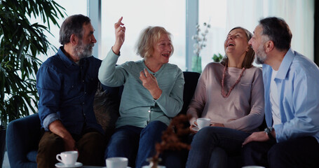 Cheeful old friends gathering at home watching Tv programs and communicating. Friendship. Elderly pensioners. Entertainment.