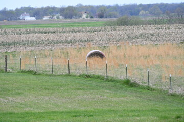 Farm Field