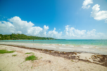 Blue sky over Pointe de la Saline beach in Guadeloupe