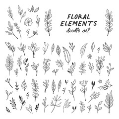 Naklejka premium Flowers and leaves doodle collection. Hand drawn floral ornaments. Decorative plants illustrations.