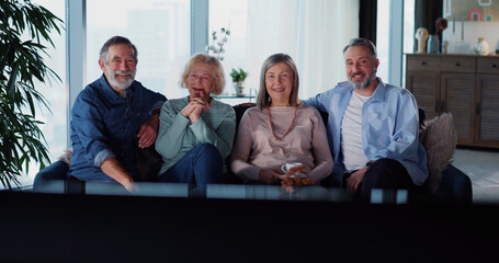 Cheeful old friends gathering at home watching Tv programs and communicating. Friendship. Elderly pensioners. Entertainment.