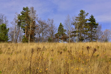 Pogórze Rożnowskie, Polska, szlaki górskie, jesień © Albin Marciniak