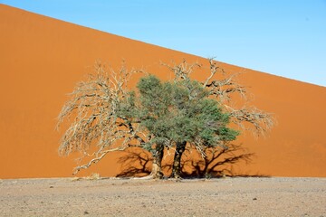 Sossusvlei, Namib Desert, Namibia