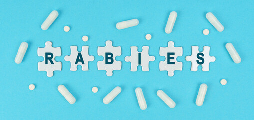 On a blue background, there are pills and puzzles with the inscription - RABIES