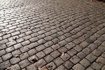 Kopfsteinpflaster im Herbst