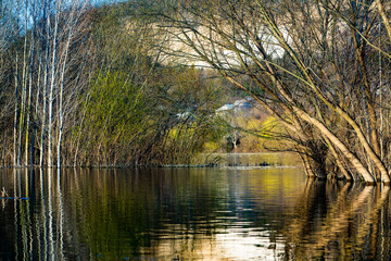 Obraz premium Beautiful landscape with three and river in Europe. Amazing nature in spring. Ideal resting place. Silent place