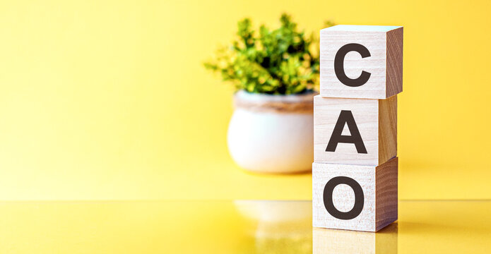 Three wooden cubes with letters - cao - chief accounting officer, on yellow table, space for text in left. Front view concepts, flower in the background.