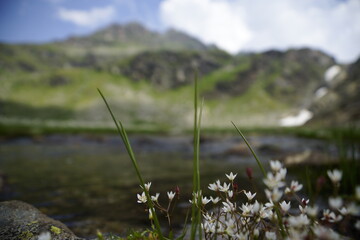 Panorama um den klaren Bergsee, den Grünsee in mitten der Bergspitzen der Alpen in der Texelgruppe...