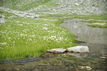 Panorama um den klaren Bergsee, den Grünsee in mitten der Bergspitzen der Alpen in der Texelgruppe...