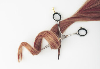 Curly strand of hair with open scissors on a white background, fashion industry 