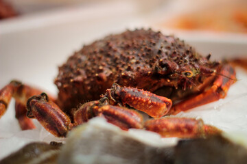 spider crab displayed on the counter of a fishmonger's