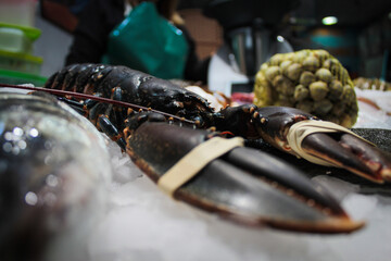 Seafood on display in a fishmonger's shop