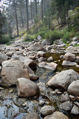 High angle shot of a dried river with big stones