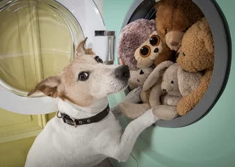Fotobehang Grappige hond huishoudelijke klusjes voor honden