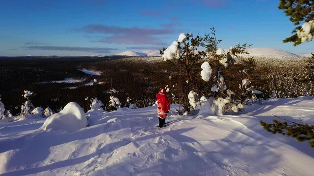 Aerial drone view passing snow covered trees, towards Santa the Ounastunturit mountains, winter evening, in Lapland