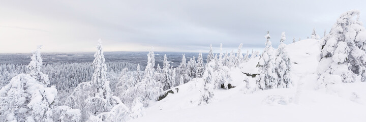A winter panorama Koli, Finland