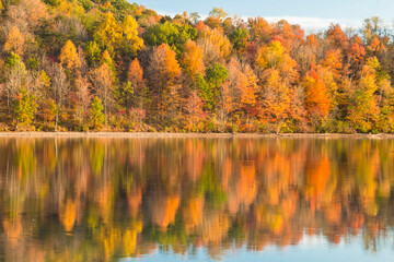 Fototapeta na wymiar reflection of vibrant colorful peak autumn foliage of trees in the serene Lake Habeeb in Rocky Gap State Park in Western Maryland Allegany county.