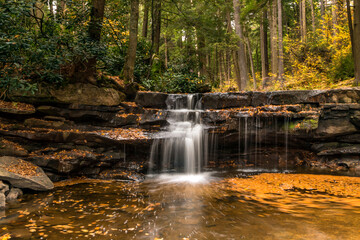 Obraz premium dramatic autumn landscape photo taken in Swallow Falls State Park in Western , Maryland.