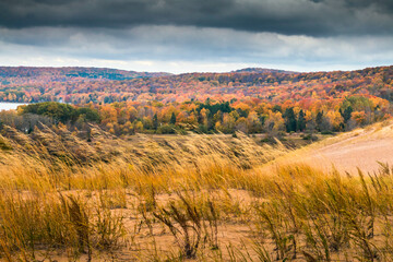 mixture of peak autumn foliage and towering sand dunes in Michigan's Sleeping Bear Sand Dunes National Lakeshore..