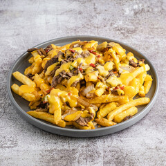 Steak Loaded Cheesy Fries