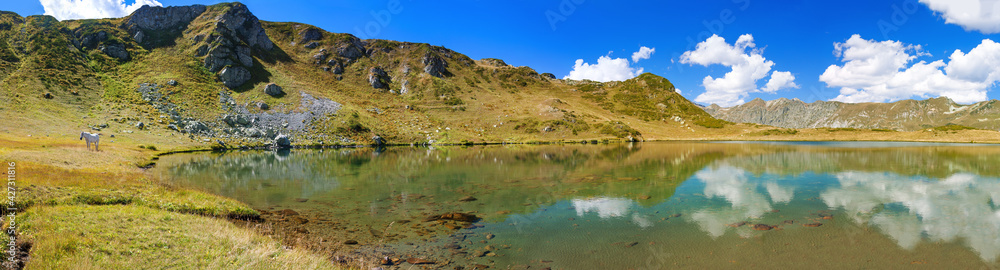 Wall mural mountain landscape panorama with high mountain lake and horse