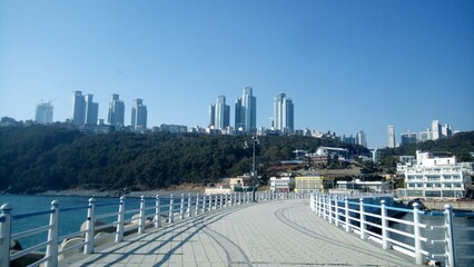 Naklejka premium view of the city from the sea
