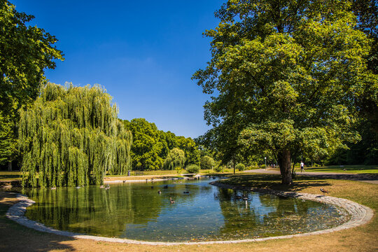 Rosensteinpark Stuttgart