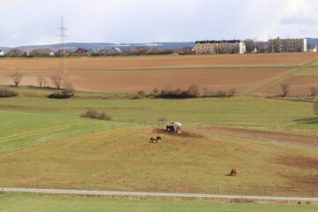 Obraz premium Blick auf Simmern im Hunsrück.