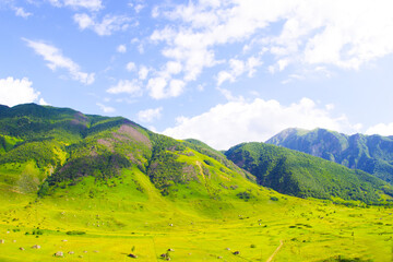 Green gorge of the Cherek-Bezengi river near the village of Bezengi