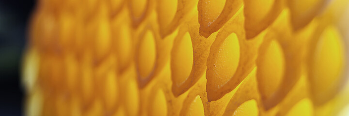 closeup pattern perspective of a crazy italian pasta composition with backlight