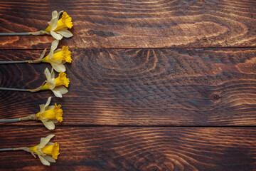 bouquet of yellow daffodils on brown wooden background with film effect and noise with blank space for text, copyspace, view from the top,  flat composition, concept of spring and  greeting card