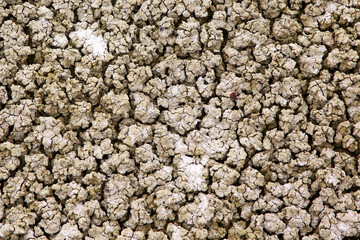Dry Cracked Soil 