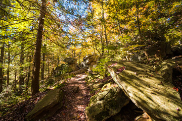 Fototapeta na wymiar colorful autumn foliage with calming cascading waterfall in Pennsylvania.