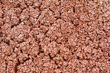 Dry Cracked Soil 