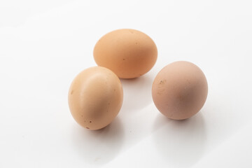 eggs on white background