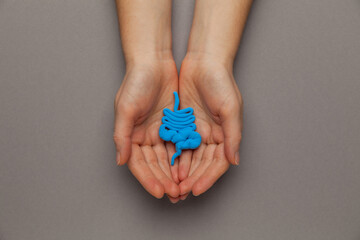 Irritable Bowel Syndrome Treatment. Intestine model with tablets.