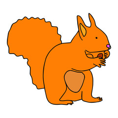 Vector illustration with a red squirrel with a nut in his hands. Red squirrel isolated on white background.