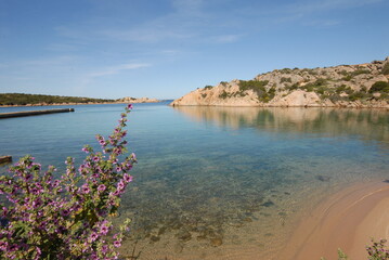 La Maddalena, Spalmatore