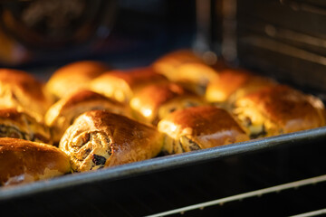 Buns baking in the oven. Freshly baked homemade buns with poppy seeds and raisins lie on a baking sheet
