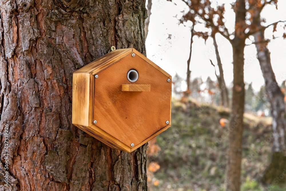 Wall mural House for nesting bumble bees on a spring garden. Insect hotel or house in a garden environment. Bumblebee hive nest wooden man-made house shelter