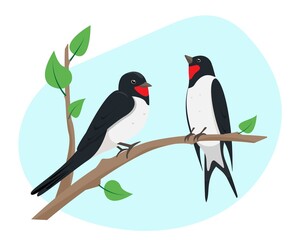 Two swallow birds sitting on tree branch.